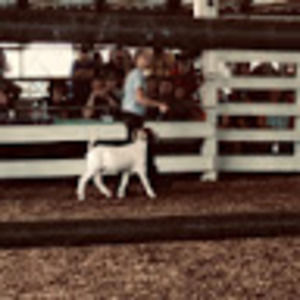 Meet your Posher, Kayla